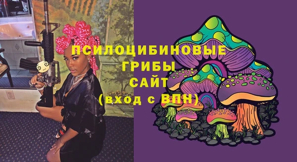 сатива Крымск